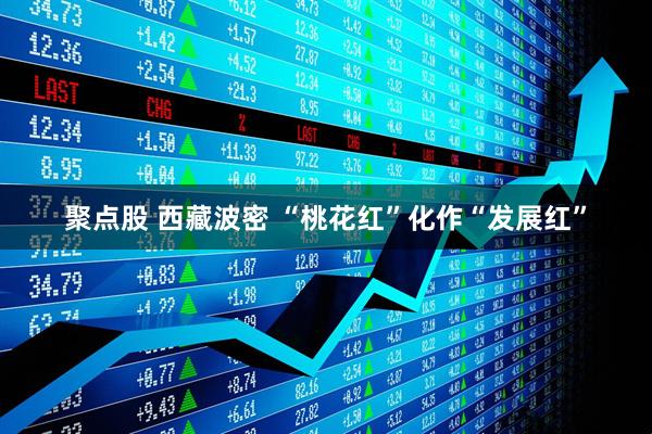 聚点股 西藏波密 “桃花红”化作“发展红”