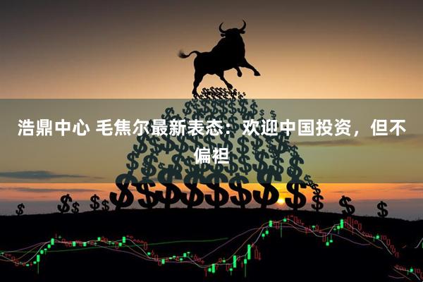 浩鼎中心 毛焦尔最新表态：欢迎中国投资，但不偏袒