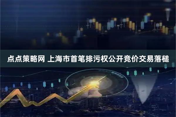 点点策略网 上海市首笔排污权公开竞价交易落槌