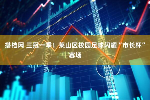 搭档网 三冠一季！莱山区校园足球闪耀“市长杯”赛场