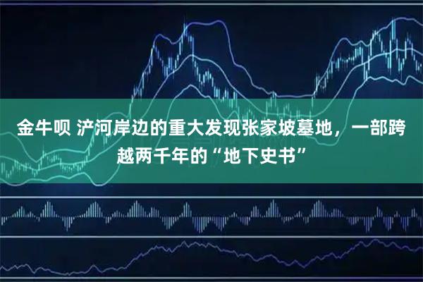 金牛呗 浐河岸边的重大发现张家坡墓地，一部跨越两千年的“地下史书”