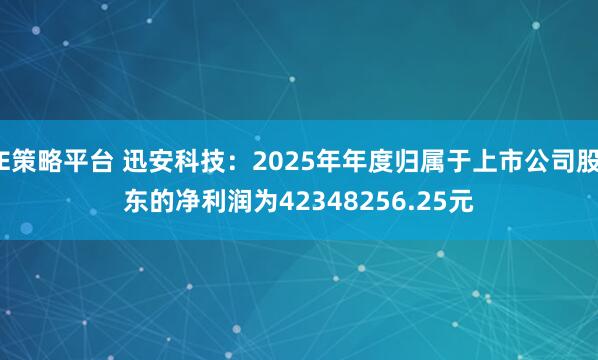 E策略平台 迅安科技：2025年年度归属于上市公司股东的净利润为42348256.25元