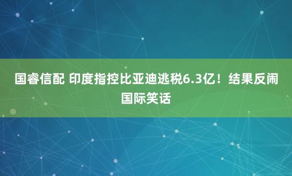 国睿信配 印度指控比亚迪逃税6.3亿!结果反闹国际笑话