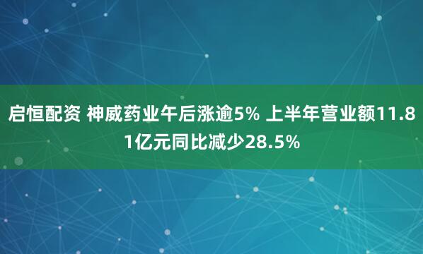 启恒配资 神威药业午后涨逾5% 上半年营业额11.81亿元同比减少28.5%