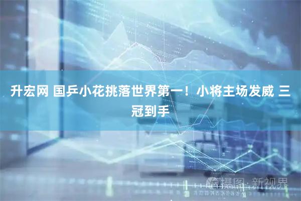 升宏网 国乒小花挑落世界第一!小将主场发威 三冠到手